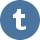 Tumblr Icon 40px png