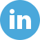 LinkedIn Icon icon
