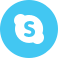 Skype Icon icon