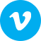 Vimeo Icon icon