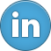 LinkedIn Icon icon