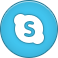 Skype Icon icon