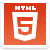 HTML5 Icon