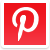 Pinterest Icon icon