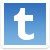 Tumblr Icon