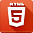 HTML5 Icon