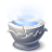 Pensieve Icon