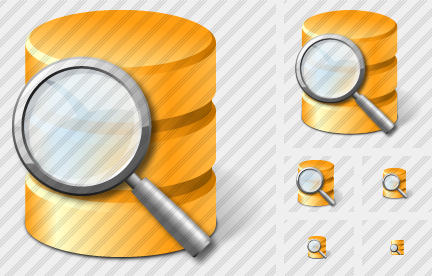 Database Search Icon