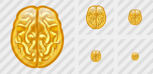 Brain Icon