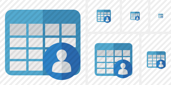 Icone Database Table User