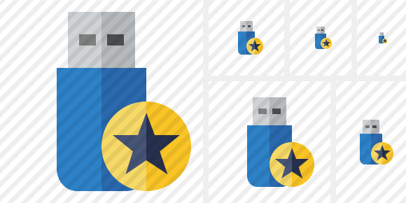 Flash Drive Star Icon