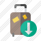 Baggage Download Icon