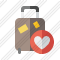 Baggage Favorites Icon