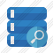 Database Search Icon