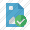 File Image Ok Icon