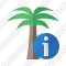 Palmtree Information Icon