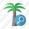 Palmtree Search Icon