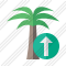 Palmtree Upload Icon