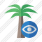 Palmtree View Icon