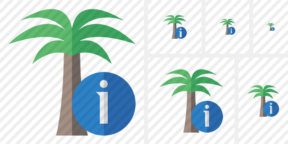 Icone Palmtree Information