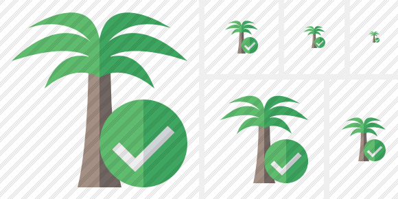 Palmtree Ok Icon