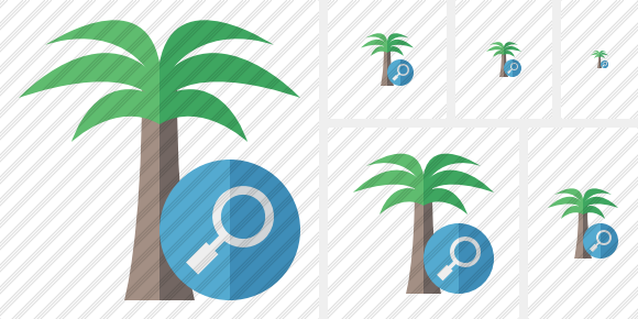 Icone Palmtree Search