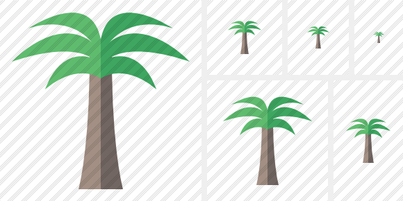  Palmtree