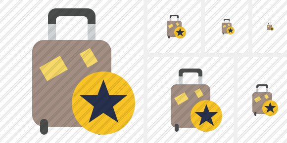 Baggage Star Icon