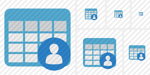 Icone Database Table User