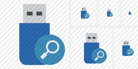 Flash Drive Search Icon