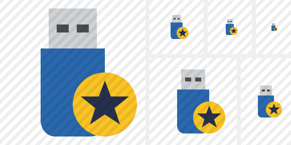 Flash Drive Star Icon