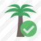 Palmtree Ok Icon