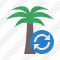 Palmtree Refresh Icon