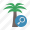 Palmtree Search Icon