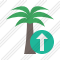 Palmtree Upload Icon