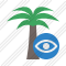 Palmtree View Icon