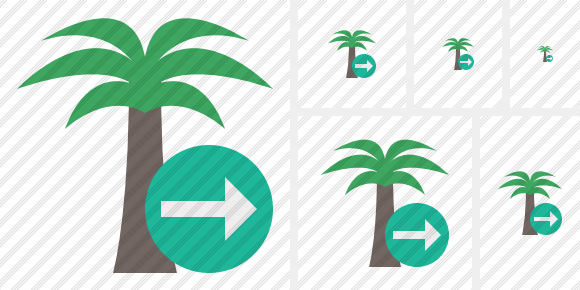 Palmtree Next Icon