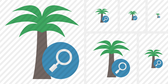 Icone Palmtree Search