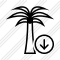 Palmtree Download Icon