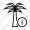 Palmtree Information Icon