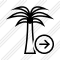 Palmtree Next Icon