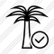 Palmtree Ok Icon