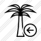 Palmtree Previous Icon