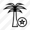 Palmtree Star Icon