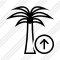 Palmtree Upload Icon