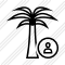 Palmtree User Icon