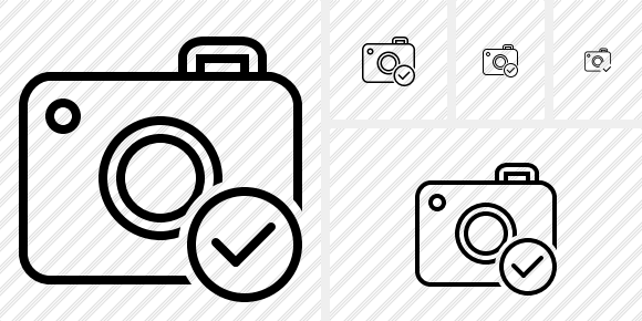 Photocamera Ok Icon