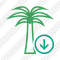 Palmtree Download Icon