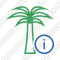 Palmtree Information Icon