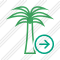 Palmtree Next Icon